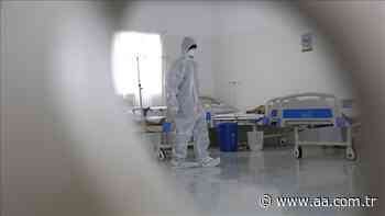 Coronavirus claims 20 more lives in Yemen in 2 days - Anadolu Agency