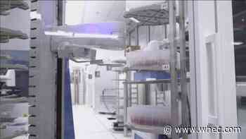 UR Medicine Labs marks over half a million COVID-19 tests