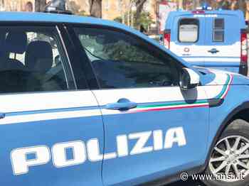 Seminò panico con roncola per strada a Fermo, espulso - Agenzia ANSA