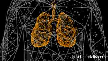 Vape Aerosol Has Minimal Impact on Gene Expression in Human Lung Tissue Compared to Cigarette Smoke