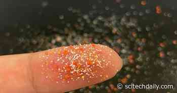 Microplastics Turn Into “Hubs” for Antibiotic-Resistant Bacteria and Pathogens