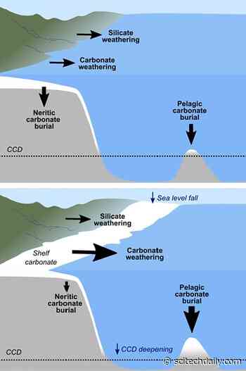 Changes in Ocean Chemistry Reveal How Sea Level Affects the Global Carbon Cycle