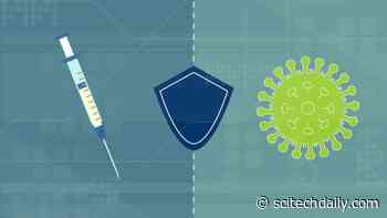 Flu Shot Associated With Fewer, Less Severe COVID Cases – Why Is Still Unclear