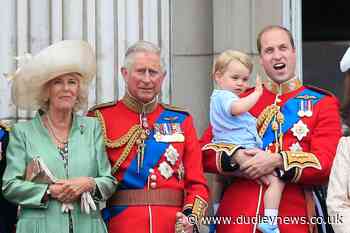 Charles and William appoint NHS spin doctors to manage communications - Dudley News