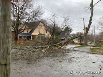 GALLERY: Storm damage across WNY