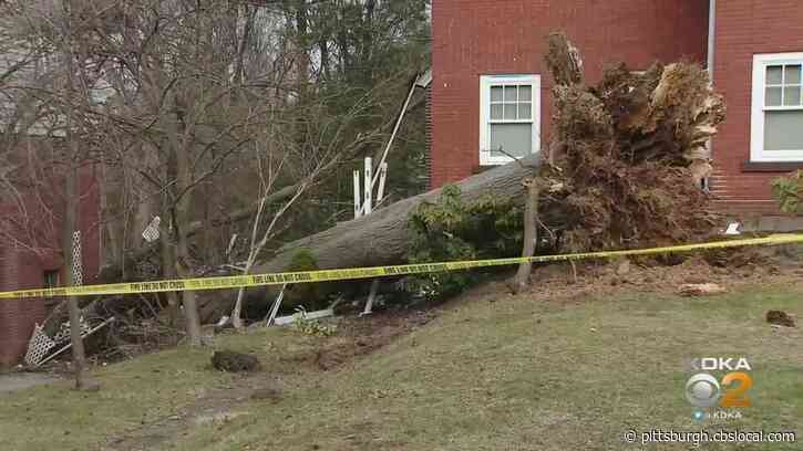 Families Picking Up The Pieces After Tree Falls Onto 2 Homes In Oakmont