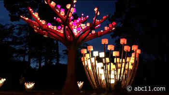 The artist behind "Entwined" art installation in Golden Gate Park