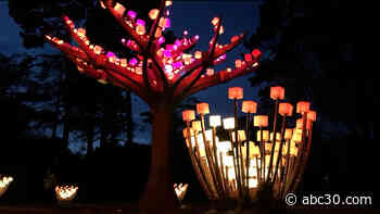 The artist behind "Entwined" art installation in Golden Gate Park