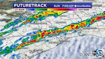 Houston Weather: Weekend rain could help wash pollen problems away - KTRK-TV