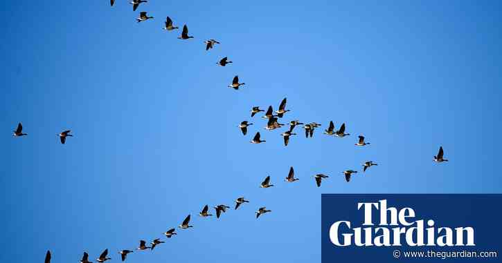 Weatherwatch: planes, rain and wartime radar angels