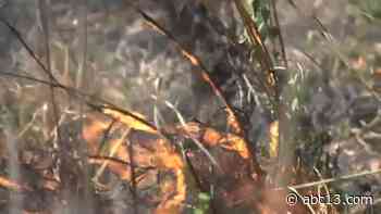 Prescribed burn underway at Houston Arboretum - KTRK-TV