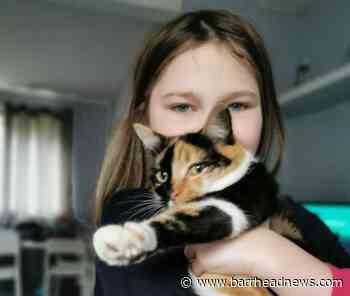 Barrhead: Schoolgirl reunited with missing cat Daisy - Barrhead News