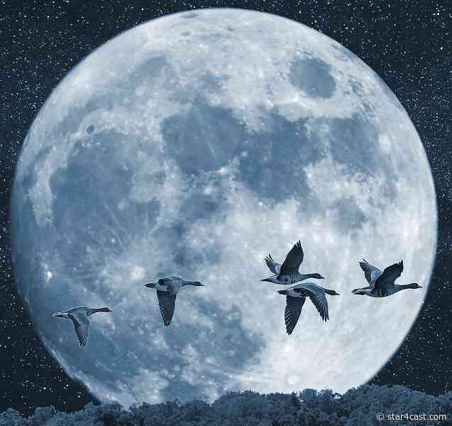 Musk & Maezawa – fly me to the Moon ++