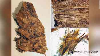 Iron Age warriors were buried with luxury feather bedding