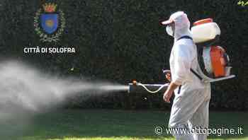 Solofra, disinfestazione completata sul territorio comunale - Ottopagine