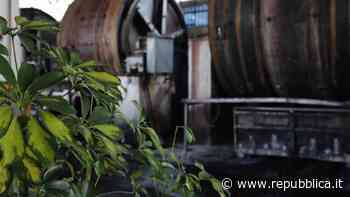 La pelle a Solofra diventa virtuosa con Be Green Tannery - La Repubblica