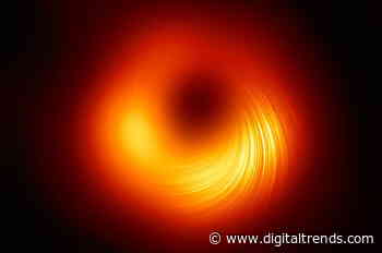 This incredible image shows the magnetic field of a black hole