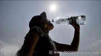 Beat heat with summer coolants and less food - Deccan Chronicle