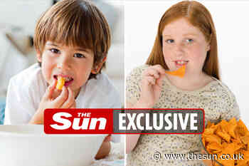 Online junk food ad ban to be axed as it would have almost no effect on obesity... - The Sun