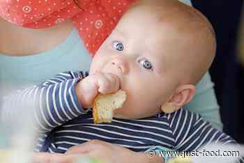 US legislators table bill on new rules for metals in baby food - just-food.com