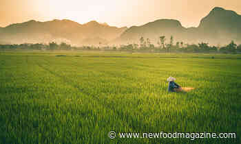 Agri-food industry key to Southeast Asian economies according to report - New Food
