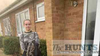 Teenager from Perry collects food donations for foodbank | Hunts Post - Hunts Post