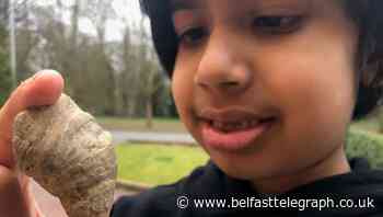 Six-year-old boy finds fossil dating back millions of years in his garden