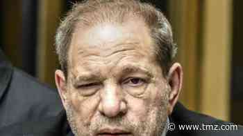 Woman Says in New Lawsuit She Stabbed Harvey Weinstein's Scrotum