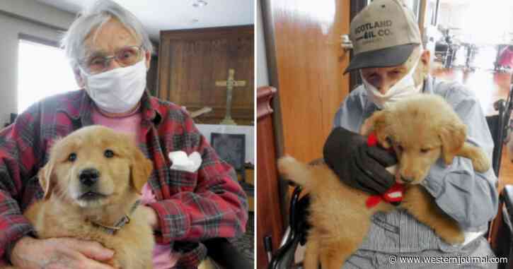 Gracie the Golden Pup Brings ‘Smiles, Cuddles’ to Elderly Care Facility Residents Who Can’t Visit with Family