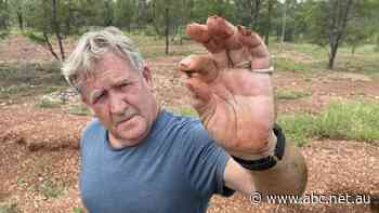 Tourists flock to this gem of a town as severe flood brings sapphires to the surface