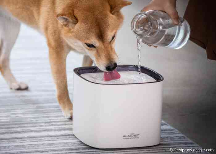 ALNPET pet water fountain filters water to prevent bacteria
