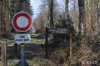 Communauté de communes Aumale Blangy-sur-Bresle : L’entretien de la forêt va coûter plus de 24 000 € par an - actu.fr