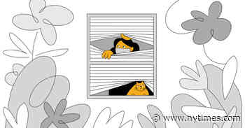 Closing the Social Distance