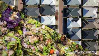 The mechanical stomach powering homes by digesting old food scraps