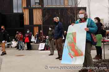 'Rebellion for Forests' raise voices for old-growth forest protection - PrinceGeorgeMatters.com