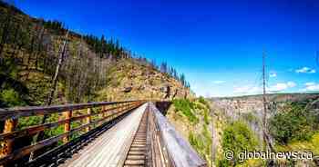 Okanagan, Similkameen to benefit from provincial Forest Employment Program funding: RDOS - Global News