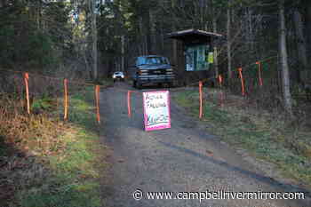 Falling work begins in Beaver Lodge Forest Lands – Campbell River Mirror - Campbell River Mirror