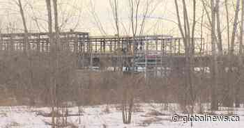 Save Fairview Forest movement gains support with online petition - Global News