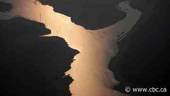 Canadian firm's proposed gold mine in Amazon rainforest a step closer to reality, CEO says