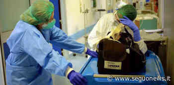 Bambina con patologie gravi muore a Modena per il Covid a 11 anni: è deceduta dopo una settimana dal ricovero - SeguoNews