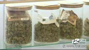 Texans could get medical marijuana license in Oklahoma with proposed bill - KXII-TV