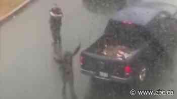 Video shows Halifax officer pointing weapon, yelling something 'unacceptable' at man with hands up