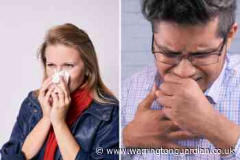 How to treat hay fever symptoms and spot the difference to Covid-19