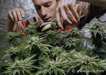 New York lawmakers agree to legalize recreational marijuana