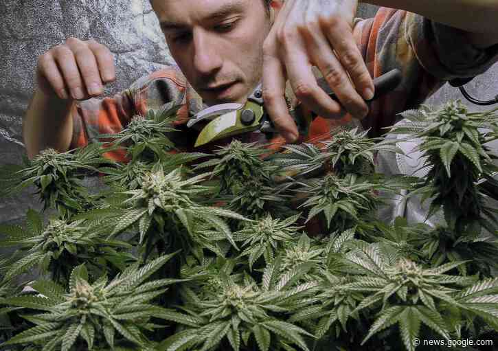 New York lawmakers agree to legalize recreational marijuana - Associated Press