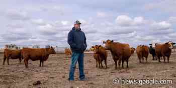 U.S. Farmers Vie for Land as a Grain Rally Sparks Shopping Spree - The Wall Street Journal