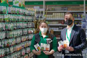 Hobbygärtner-Wissen: Was der Bezirk Neunkirchen pflanzt - Neunkirchen - meinbezirk.at