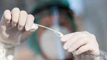 Coronatest-Ausbau - Stadtgemeinde Neunkirchen errichtet neuen Test-Punkt - NÖN.at