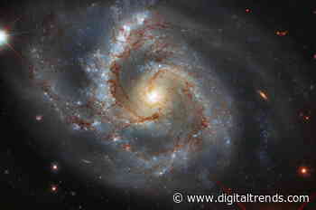 This peculiar galaxy has one spiral arm brighter than the others