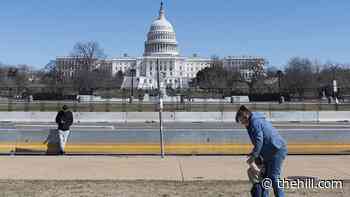 Calls grow for national paid family leave amid pandemic